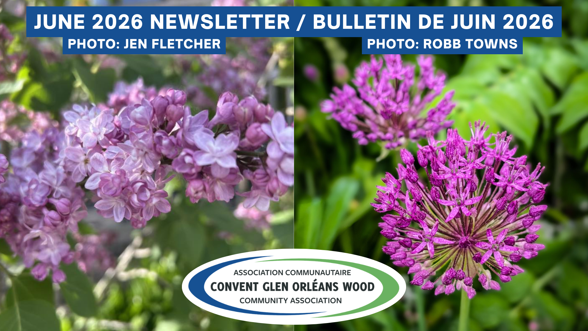 June 2026 Newsletter