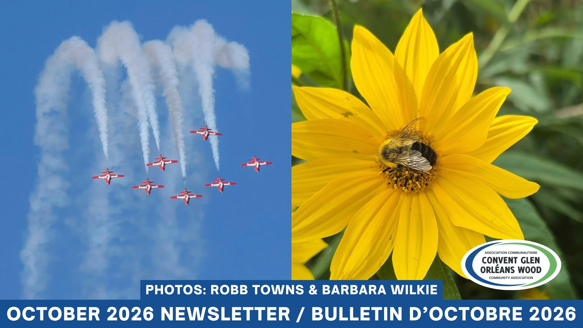 October 2026 Newsletter